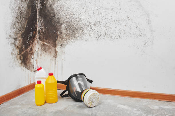 Best Crawl Space Mold Removal  in Sidney, IL