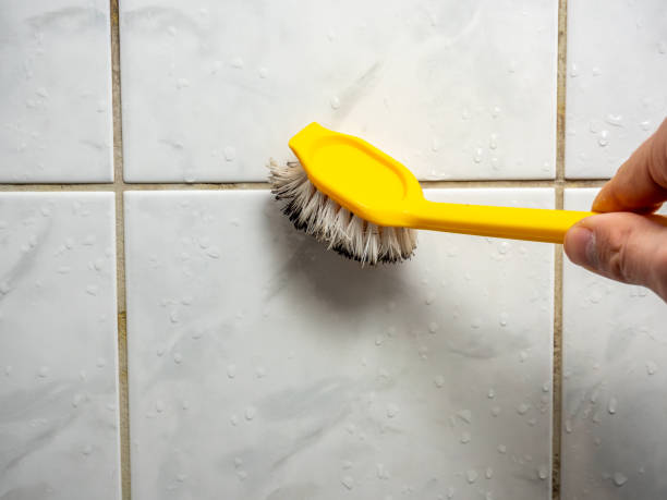 Best Commercial Mold Removal  in Sidney, IL