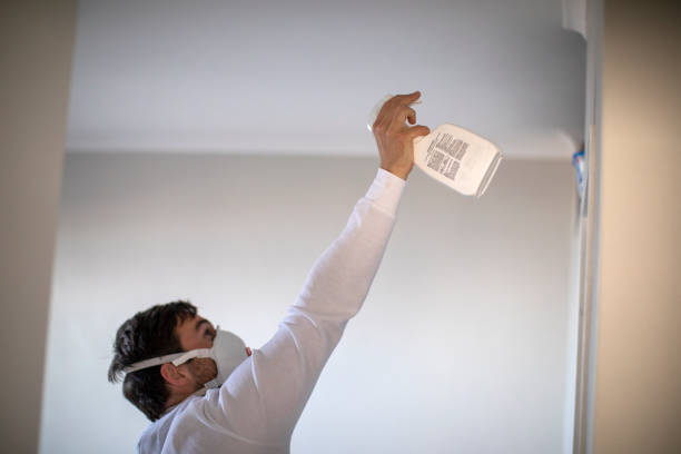 Best Black Mold Removal  in Sidney, IL