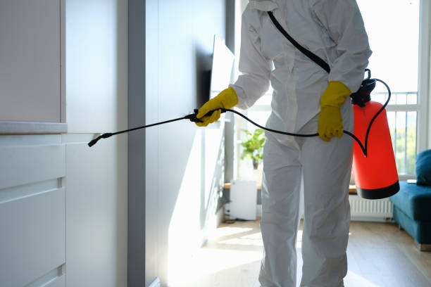 Best Emergency Mold Removal  in Sidney, IL