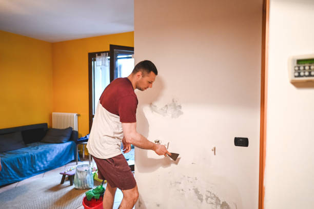 Best Professional Mold Removal  in Sidney, IL